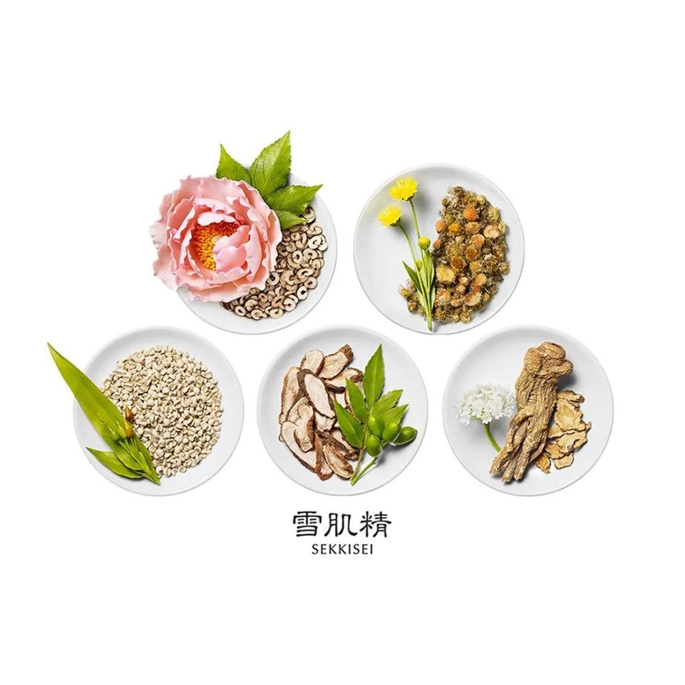 KOSE Sekkisei White Washing Foam(130g) - Best Buy World Singapore