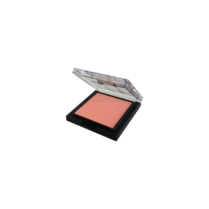 MAKE UP STORE Blush Apricot (2.8g) Exp: Dec2026 - Best Buy World Singapore