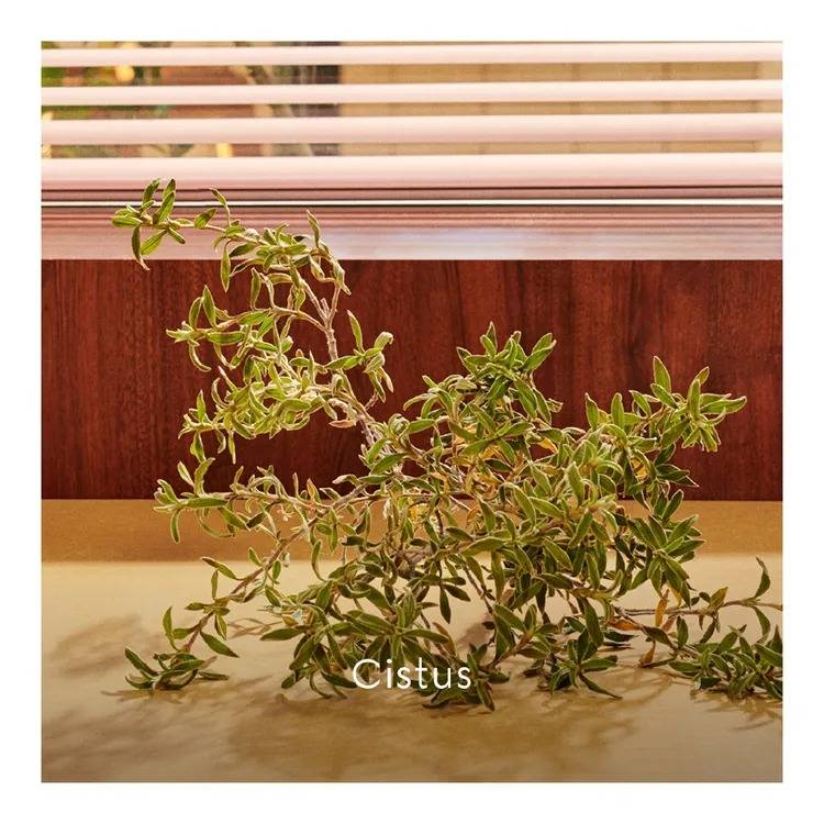 Gucci Guilty Parfum Pour Homme EDP (90ml) - Best Buy World Singapore