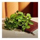 Gucci Guilty Parfum Pour Homme EDP (90ml) - Best Buy World Singapore