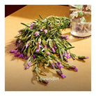 Gucci Guilty Parfum Pour Homme EDP (90ml) - Best Buy World Singapore